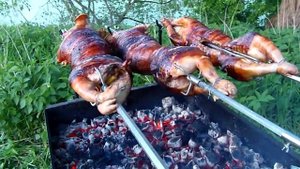 ООО ВЕРТЕЛЪ. Три поросенка на вертеле.