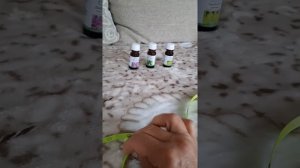 Ошейник для кошек и собак от клещей своими руками за копейки(2)