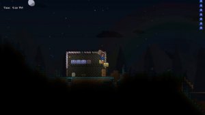 Terraria How To Get Platinum FAST