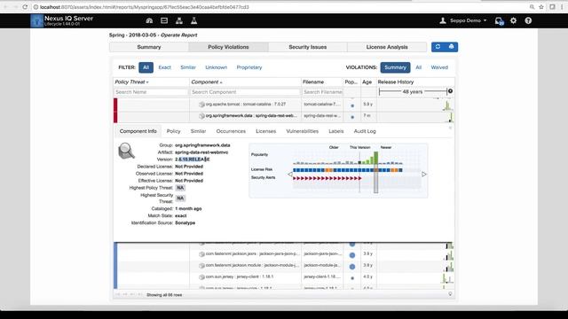 How to Find and Remediate a Critical Pivotal Spring Vulnerability with Nexus Lifecycle смотреть онлайн