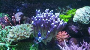 Морской аквариум 1 год 11 месяцев