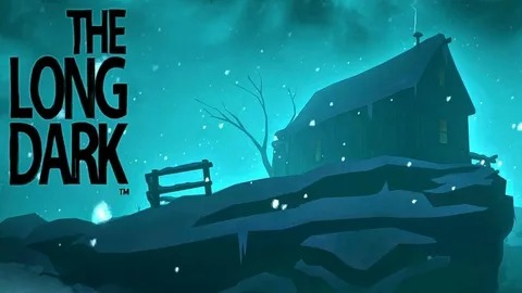 The Long Dark: #5