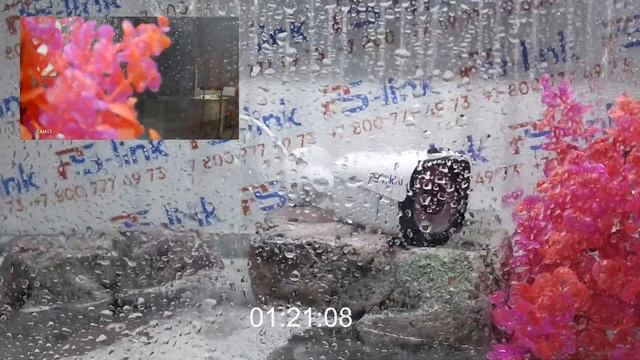 Тестирование камеры PS-link AHD102 на степень защиты IP66, 4 дня! смотреть онлайн