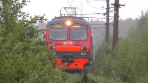 "Под дождем". ЭД4М-1007/ЭД4МК-0099 сообщением Егоршино — Нижний Тагил