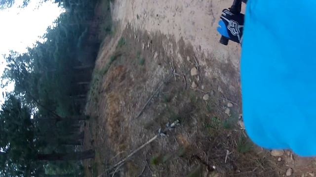 Tokai forrest!! Mongoose Fireball 26" смотреть онлайн