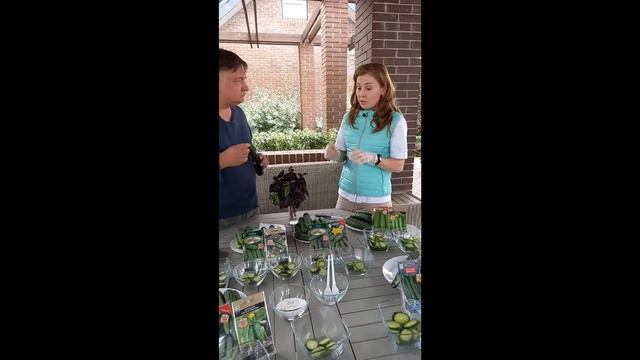 Интересное об огурцах смотреть онлайн