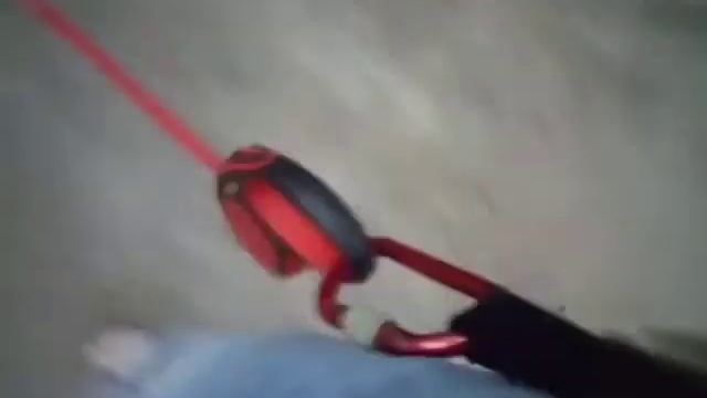 Лайфхак для прогулки с собакой на рулетке
