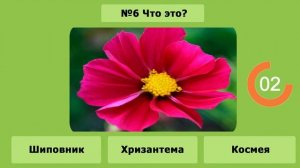 ТЕСТ: УГАДАЙ РАСТЕНИЕ