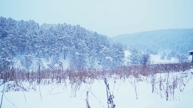 КУПИЛ 2 ДОМА В ДЕРЕВНЕ _ ЗАКОПТИЛИ САЛО В РУССКОЙ ПЕЧИ НА ШЕСТКЕ _ ПАЛЬЧИКИ ОБЛИЖЕШЬ смотреть онлайн