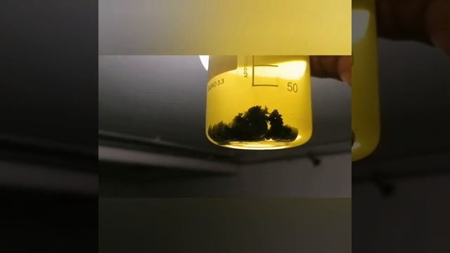 Щелочное хлорирование кварцевых камней
