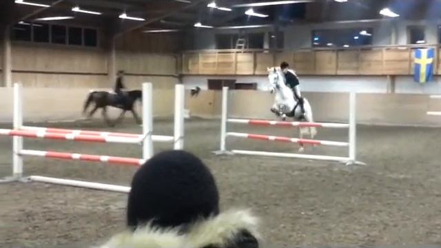 Chadow Hoppträning för Lotta Sjöberg (fd Schultz) смотреть онлайн