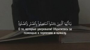 Прекрасное чтение Корана СУРА 2 АЛЬ-БАКАРА , 151-155. #2021