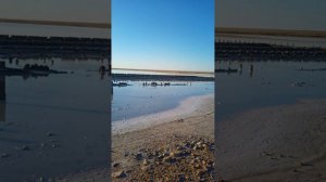 Перед закатом на соляном озере Эльтон