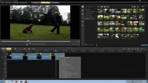 Corel VideoStudio Pro. Урок 05  как вырезать фото из видео