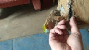 получил посылку от "магнус агро"