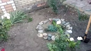 Полисадник. Посадка роз, обрезка цветов
