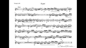 Albinoni Trumpet Concerto C major - T.Dokshizer - trumpet