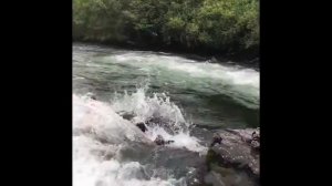 рыбалка на анюе