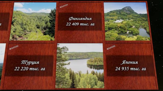 Страны с Самыми Большими Лесами | Сравнение смотреть онлайн