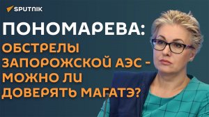 Можно писать блокбастер: эксперт о приезде миссии МАГАТЭ на Запорожскую АЭС