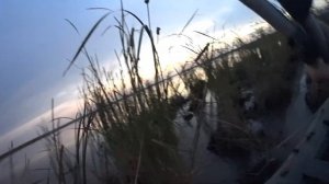 охота на утку. 2022. охота с вертикалкой. тоз 120