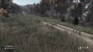 DayZ как зеркало современного гейминга