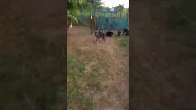 банда в сборе смотреть онлайн