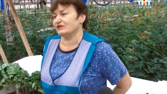 В Саратове начали готовиться к самому главному весеннему празднику - 8 марта