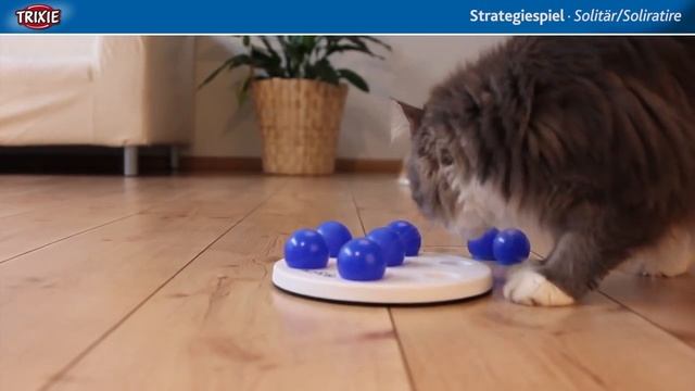 TRIXIE серия Activity Cat - играем с питомцем дома. #BRANDS4PETS смотреть онлайн