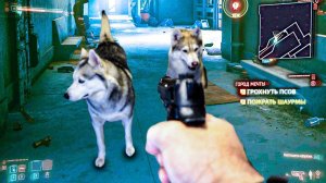 CYBERPUNK 2077  В РЕАЛЬНОЙ ЖИЗНИ!! КИБЕРПСЫ КИБЕРПАНК 2077!! (Хаски Бандит) Говорящая собака