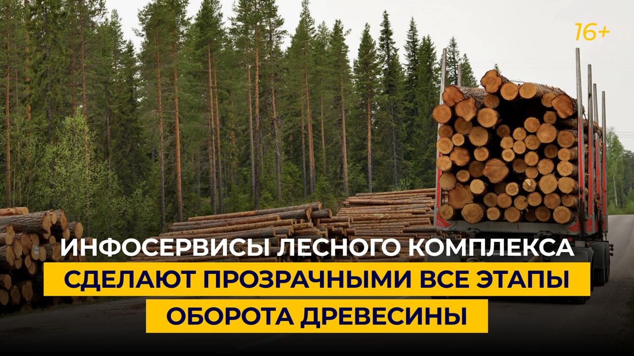 Инфосервисы лесного комплекса сделают прозрачными все этапы оборота древесины
