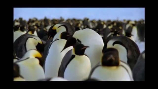 Южный полюс