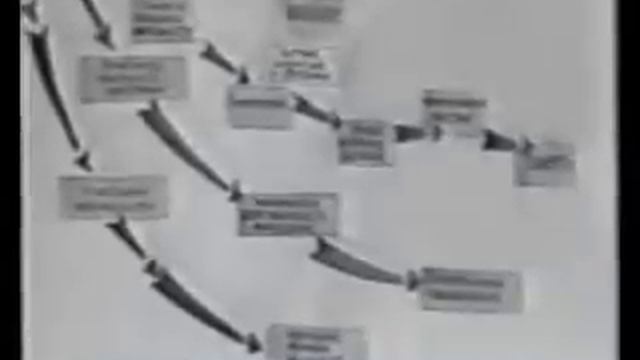 Редкое Видео. Метод Дыхания Бутейко преподает сам автор. Часть 1 из 2 смотреть онлайн