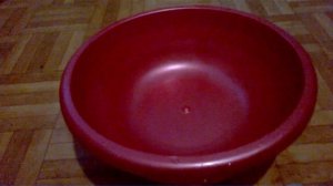 Как избавиться от медведки в огороде навсегда народными средствами