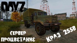 DayZ Обзор Краз Сервер "Процветание"