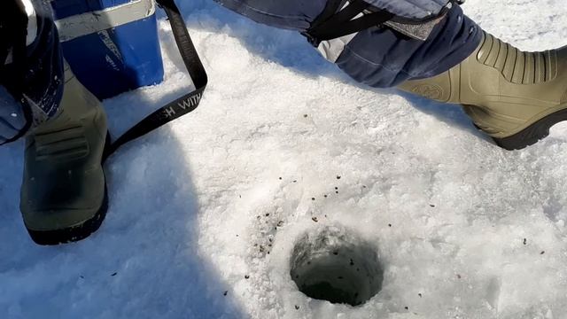 Незабываемая клевая рыбалка Забайкалья! А что произошло вы узнаете из видео! смотреть онлайн