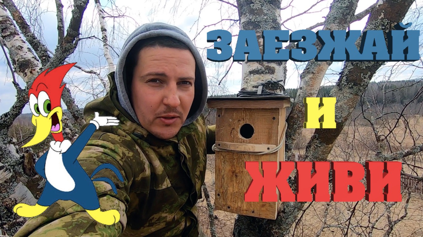 #15. Вопросы электрические. [Жизнь на своей земле] смотреть онлайн