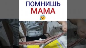 Только мама пожалеет и поймет,только мама к сердцу тропочку найдет, только мама будет думать по н