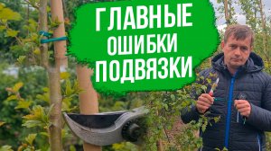 Подвязка плодовых деревьев и кустарников на опоре. Ошибки при подвязке плодовых.