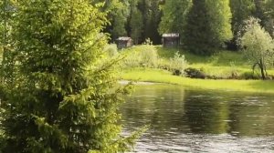 Река Пинега. От д. Явзора, по реке Юла.