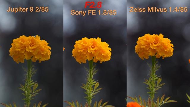 85mm Lens Comparison: Sony vs Jupiter 9 vs Milvus смотреть онлайн