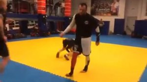 Любимый Хабаровск.  Восточный рубеж.  Мастер-класс Максима Воронова. РАЗМИНКА. Кувырки