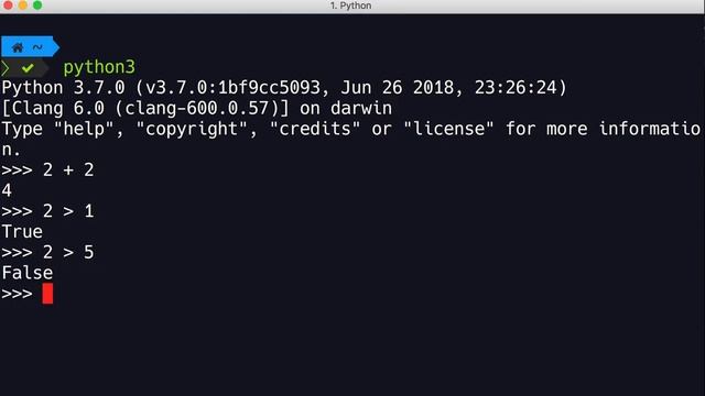 03 PYTHON INTERPRETER| HOW TO USE?#PYTHON
