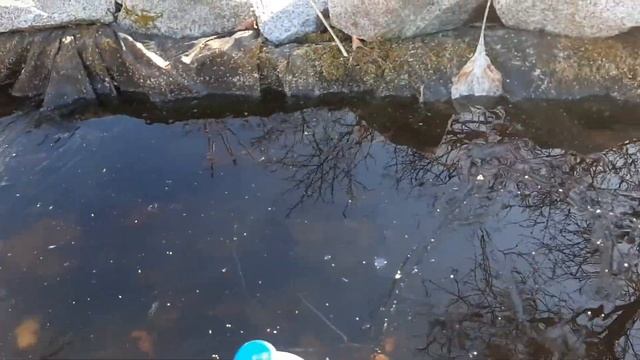 Водоем осенью. Как защитить от разрушения смотреть онлайн