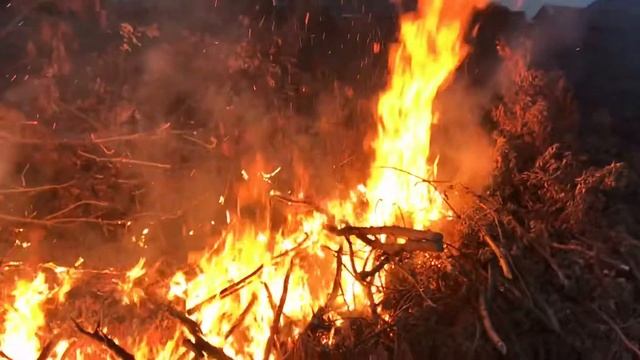 Как горит огонь можно смотреть вечно смотреть онлайн