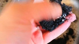 Аквафор DWM 101S Морион - что внутри сменных модулей