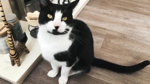 10 Самых БЕЗУМНЫХ Мировых Рекордов Гиннеса