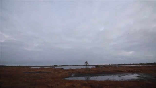 Охота на Гуся. nloirlife - часть 1 nloirlife