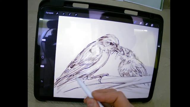 Рисуем птицу года в цифровом формате смотреть онлайн