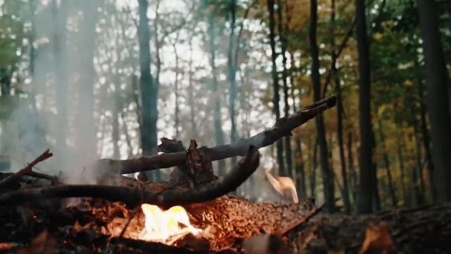 Большой костер в лесу, слышно филина./ Огонь для снятия стресса, медитации, расслабления. смотреть онлайн